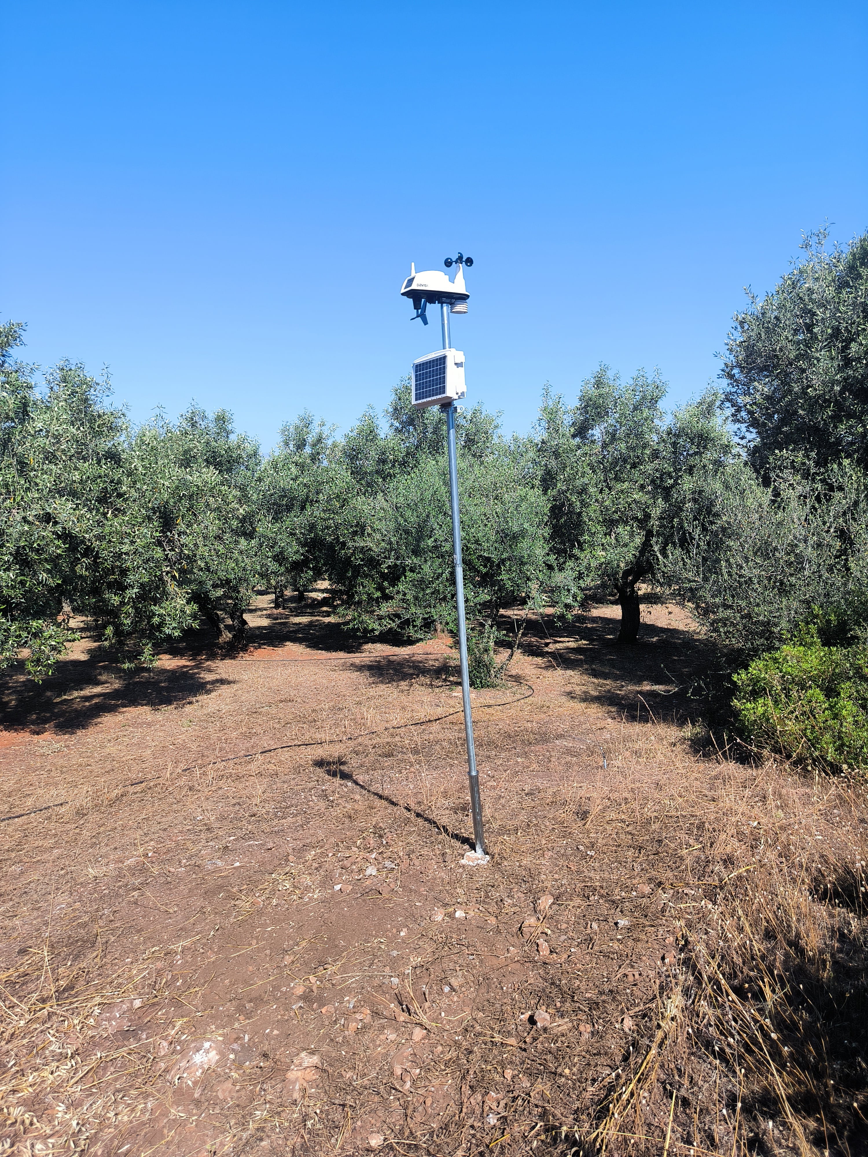 Μετεωρολογικός σταθμός σε ελαιώνα (αιθρία)