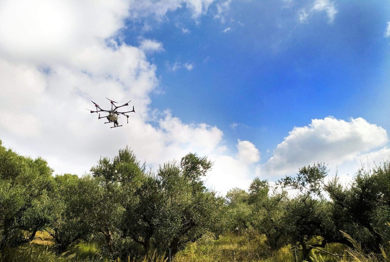 Drone ψεκασμού σε ελαιώνα